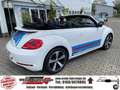 Volkswagen Beetle Cabriolet Turbo Sport, R-Line, Martini, 305PS Weiß - thumbnail 16