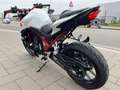 Honda CB 750 HORNET**NEUZUSTAND**HURRIC**LSL**PROBRAKE** Blanco - thumbnail 5