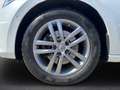 Volkswagen Touran 2.0 TDI DSG IQ.DRIVE StandHZG AHK-klappbar Navi LE Blanco - thumbnail 7