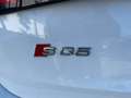 Audi SQ5 3.0TDI Competition quattro Tip. 326 Blanco - thumbnail 20