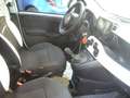 Fiat Panda Cross Pandina 1.0 FireFly Hybrid 5P Nuovo Modell Wit - thumbnail 22