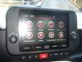 Fiat Panda Cross Pandina 1.0 FireFly Hybrid 5P Nuovo Modell Wit - thumbnail 19