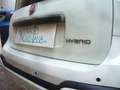 Fiat Panda Cross Pandina 1.0 FireFly Hybrid 5P Nuovo Modell Wit - thumbnail 9