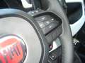 Fiat Panda Cross Pandina 1.0 FireFly Hybrid 5P Nuovo Modell Wit - thumbnail 15