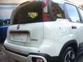 Fiat Panda Cross Pandina 1.0 FireFly Hybrid 5P Nuovo Modell Wit - thumbnail 8