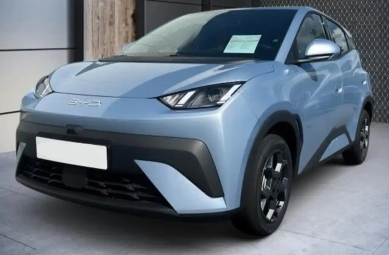 BYD Dolphin surf