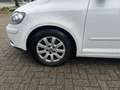 Volkswagen Golf Plus 1.9 TDI Comfortline BlueMotion Weiß - thumbnail 16
