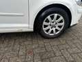 Volkswagen Golf Plus 1.9 TDI Comfortline BlueMotion Weiß - thumbnail 18