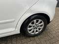 Volkswagen Golf Plus 1.9 TDI Comfortline BlueMotion Weiß - thumbnail 22