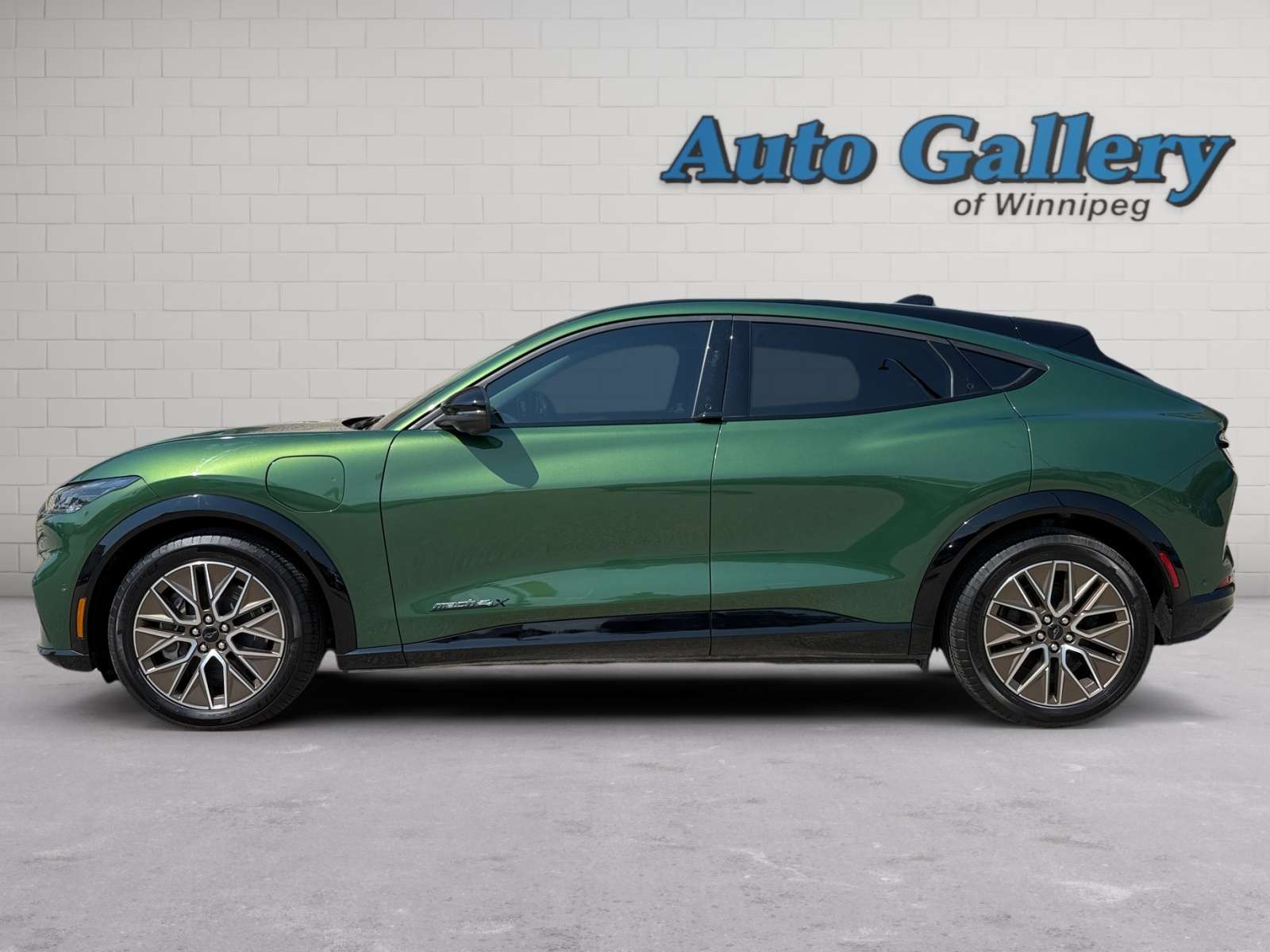 used 2024 Ford Mustang Mach-E car, priced at $43,889