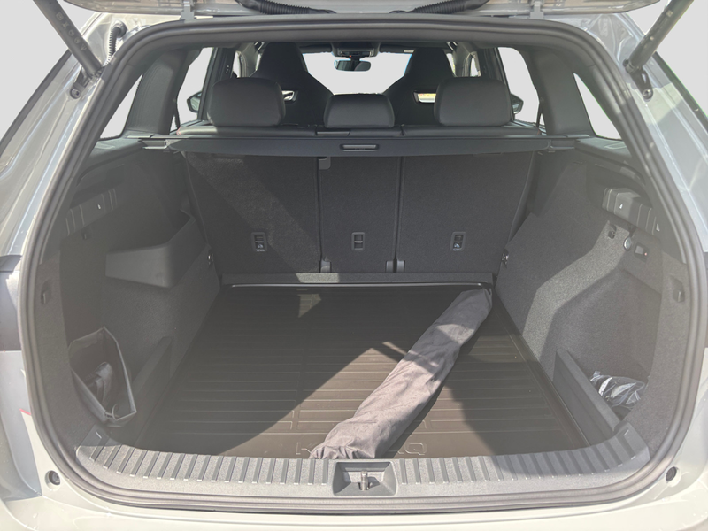 Skoda Kodiaq RS 2,0 TSI 195 kW DSG 4x4 PanoSD AHK Plus — photo 12