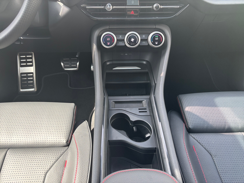 Skoda Kodiaq RS 2,0 TSI 195 kW DSG 4x4 PanoSD AHK Plus — photo 8