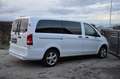 Mercedes-Benz Vito Vito Tourer 114 CDI 4matic lang PRO Aut. PRO Weiß - thumbnail 3