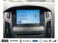 Ford Focus 1.5 EcoBoost S/S Titanium WINTER-Pkt. NAVIG. SHZG Gris - thumbnail 22