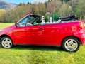 Fiat Punto Cabrio 1.2 S c/SS Rojo - thumbnail 4