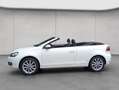 Volkswagen Golf VI Cabriolet 1.4 TSI -Lounge- DSG Navi/ S Weiß - thumbnail 2