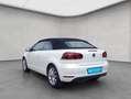 Volkswagen Golf VI Cabriolet 1.4 TSI -Lounge- DSG Navi/ S Weiß - thumbnail 3