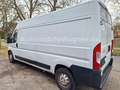 Fiat Ducato Maxi Grossr.-Kasten 35 130 L4H2 RS: 4035 Weiß - thumbnail 4