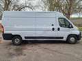 Fiat Ducato Maxi Grossr.-Kasten 35 130 L4H2 RS: 4035 Weiß - thumbnail 6