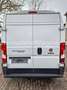 Fiat Ducato Maxi Grossr.-Kasten 35 130 L4H2 RS: 4035 Weiß - thumbnail 7