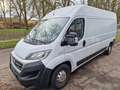 Fiat Ducato Maxi Grossr.-Kasten 35 130 L4H2 RS: 4035 Weiß - thumbnail 1