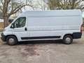 Fiat Ducato Maxi Grossr.-Kasten 35 130 L4H2 RS: 4035 Weiß - thumbnail 5