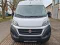 Fiat Ducato Maxi Grossr.-Kasten 35 130 L4H2 RS: 4035 Weiß - thumbnail 8