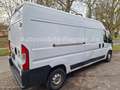 Fiat Ducato Maxi Grossr.-Kasten 35 130 L4H2 RS: 4035 Weiß - thumbnail 3
