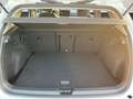 Volkswagen Golf Goal 1.5 TSI | 16" | ACC | AHK | CarPlay | Weiß - thumbnail 15