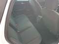 SEAT Leon Leon SP Reference 2,0 TDI Reference AHV Weiß - thumbnail 12