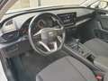 SEAT Leon Leon SP Reference 2,0 TDI Reference AHV Weiß - thumbnail 9