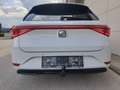 SEAT Leon Leon SP Reference 2,0 TDI Reference AHV Weiß - thumbnail 8