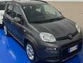 Fiat Panda Panda 1.0 firefly hybrid s Grijs - thumbnail 1