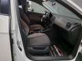 SEAT Leon Leon Weiß - thumbnail 13
