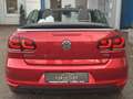 Volkswagen Golf VI Cabriolet | 2.Hand | Tempo | Alcantara Rouge - thumbnail 4