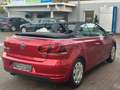 Volkswagen Golf VI Cabriolet | 2.Hand | Tempo | Alcantara Rouge - thumbnail 5