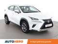 Lexus NX 300h NX 300h E-Four Pack Business Blanc - thumbnail 8