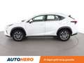 Lexus NX 300h NX 300h E-Four Pack Business Blanc - thumbnail 3