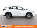 Lexus NX 300h NX 300h E-Four Pack Business Weiß - thumbnail 7