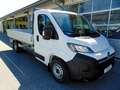 Opel Movano Movano Pritsche EKb 35+ L4 BlueHDI 180 Blanc - thumbnail 3