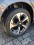 Suzuki Swift 1.2 Hybrid CVT Top AUTOMATICA DA IMMATRICOLARE - thumbnail 8
