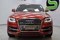 Audi SQ5 3.0 TDI competition / PANO / B&O / ACC Red - thumbnail 2