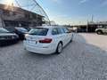 BMW 520 d xDrive Luxury Bianco - thumbnail 5