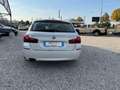 BMW 520 d xDrive Luxury Bianco - thumbnail 7