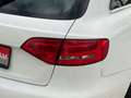 Audi A4 Avant quattro S-Line AHK MEMORY PDC SHZ Weiß - thumbnail 12