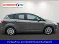 Ford C-Max C-MAX 1.6 EcoBoost Titanium Braun - thumbnail 4