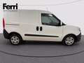 Fiat Doblo cargo 1.6 mjt 16v SX 105cv E5+ F.L. Alb - thumbnail 7