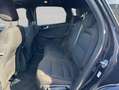 Ford Kuga 2.0 EcoBlue Aut. ST-LINE Schwarz - thumbnail 12