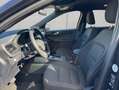 Ford Kuga 2.0 EcoBlue Aut. ST-LINE Schwarz - thumbnail 7