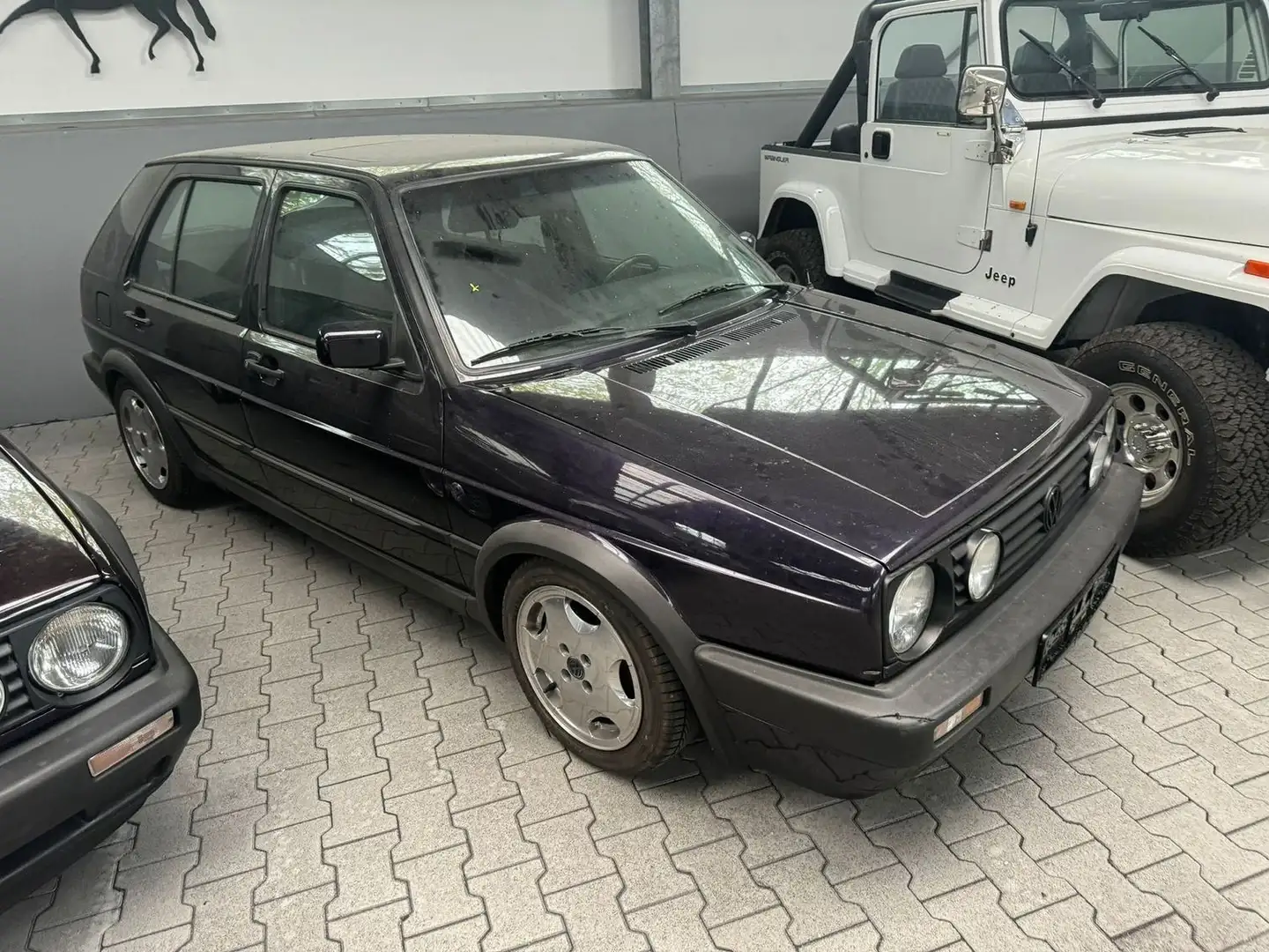 Volkswagen Golf Fire & Ice Mauve - 1